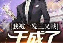 我被一发三叉戟，干成了祁同伟！小说有没有完结版在线？-侠客文学