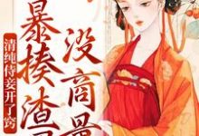 完结版《清纯侍妾开了窍，暴揍渣男没商量》章节阅读-侠客文学