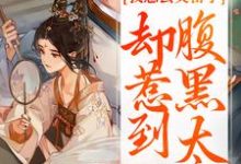 我想去父留子,却惹到腹黑太子小说全文哪里可以免费看?-侠客文学