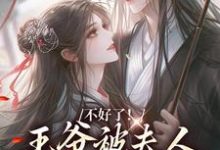 主人公叫叶流西穆景川的小说哪里免费看-侠客文学