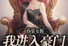 小说《伪装女佣，我进入豪门乱杀复仇》在线阅读-侠客文学