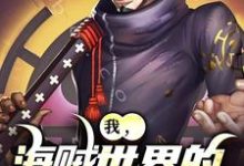 无删减版《我，海贼世界的不死大将》章节目录在线阅读-侠客文学