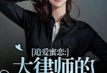 追爱蜜恋：大律师的惹火宝贝宋知薇秦律小说在线章节目录阅读最新章节-侠客文学