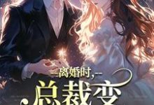 《离婚时，总裁变偏执病娇了》全集免费在线阅读（慕鸢霍泯）-侠客文学
