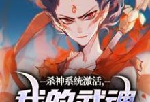 杀神系统激活,我的武魂是哪吒小说,杀神系统激活,我的武魂是哪吒最新章节-侠客文学