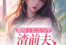 就掉了亿点马甲，渣前夫哭着求复婚免费阅读，就掉了亿点马甲，渣前夫哭着求复婚楚骁寒叶幻竹-侠客文学