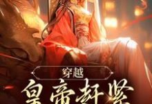 穿越：皇帝赶紧给我打江山最新章节，穿越：皇帝赶紧给我打江山免费阅读-侠客文学