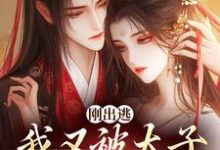 已完结小说《刚出逃，我又被太子绑回来了》在线阅读-侠客文学