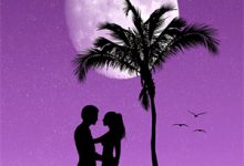 穿成大佬作精前妻，我被全家团宠沈安澜在线章节免费阅读-侠客文学