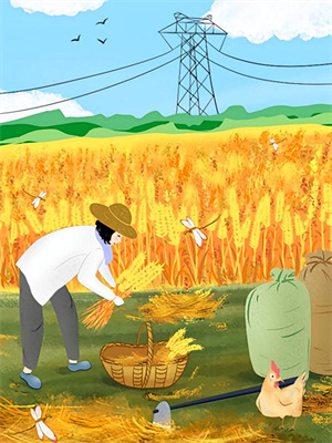 再见，就是再也不见阮清莞裴行砚小说在线章节免费阅读