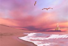 小说《丈夫在高空表白后》章节免费阅读-侠客文学