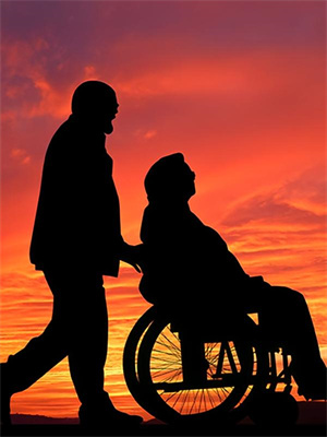 在线免费阅读似野火完整小说