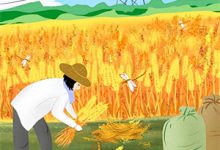 星光陷于他眼底最新章节，星光陷于他眼底章节在线阅读-侠客文学