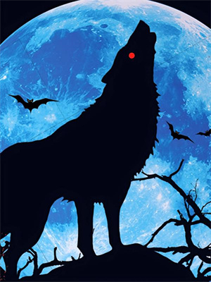 寻找能够免费阅读续弦四年不同房，亡妻复活你又爱了？小说的平台