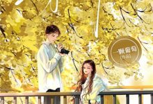 四合院：穿越者欢聚一堂免费阅读，四合院：穿越者欢聚一堂林向东韩春燕-侠客文学